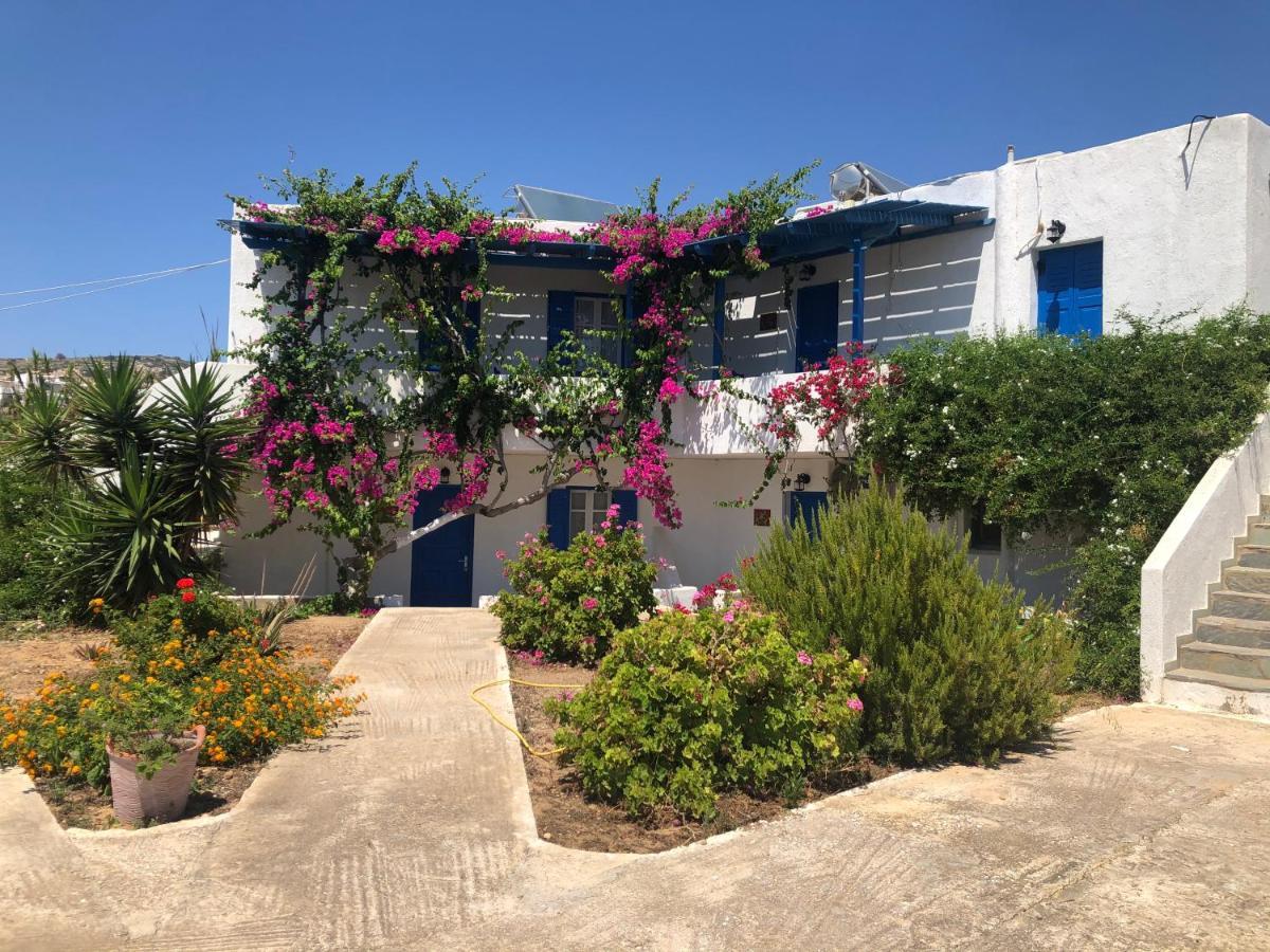 Firoa Studios Donoussa Dış mekan fotoğraf