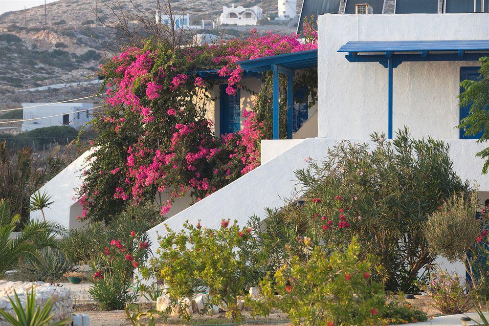 Firoa Studios Donoussa Dış mekan fotoğraf