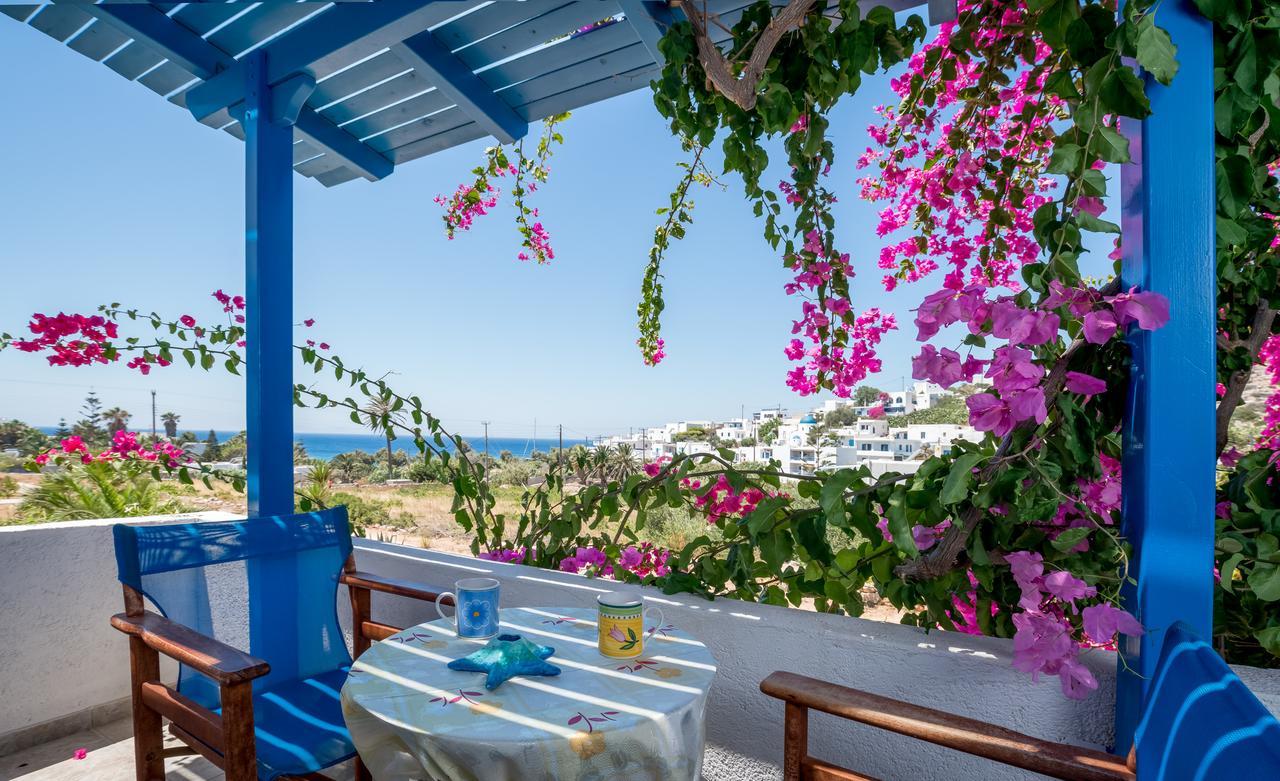 Firoa Studios Donoussa Dış mekan fotoğraf