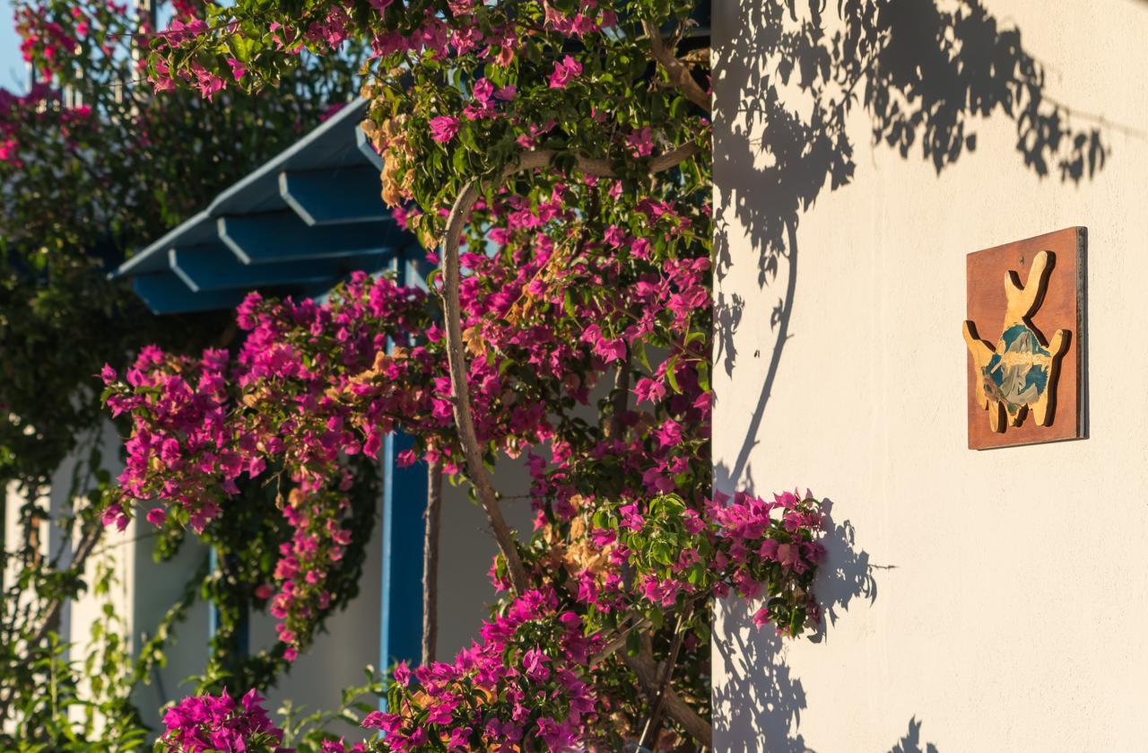 Firoa Studios Donoussa Dış mekan fotoğraf