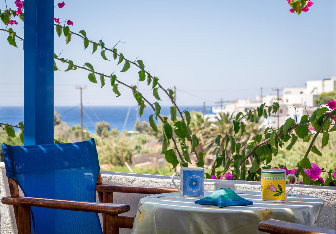 Firoa Studios Donoussa Dış mekan fotoğraf