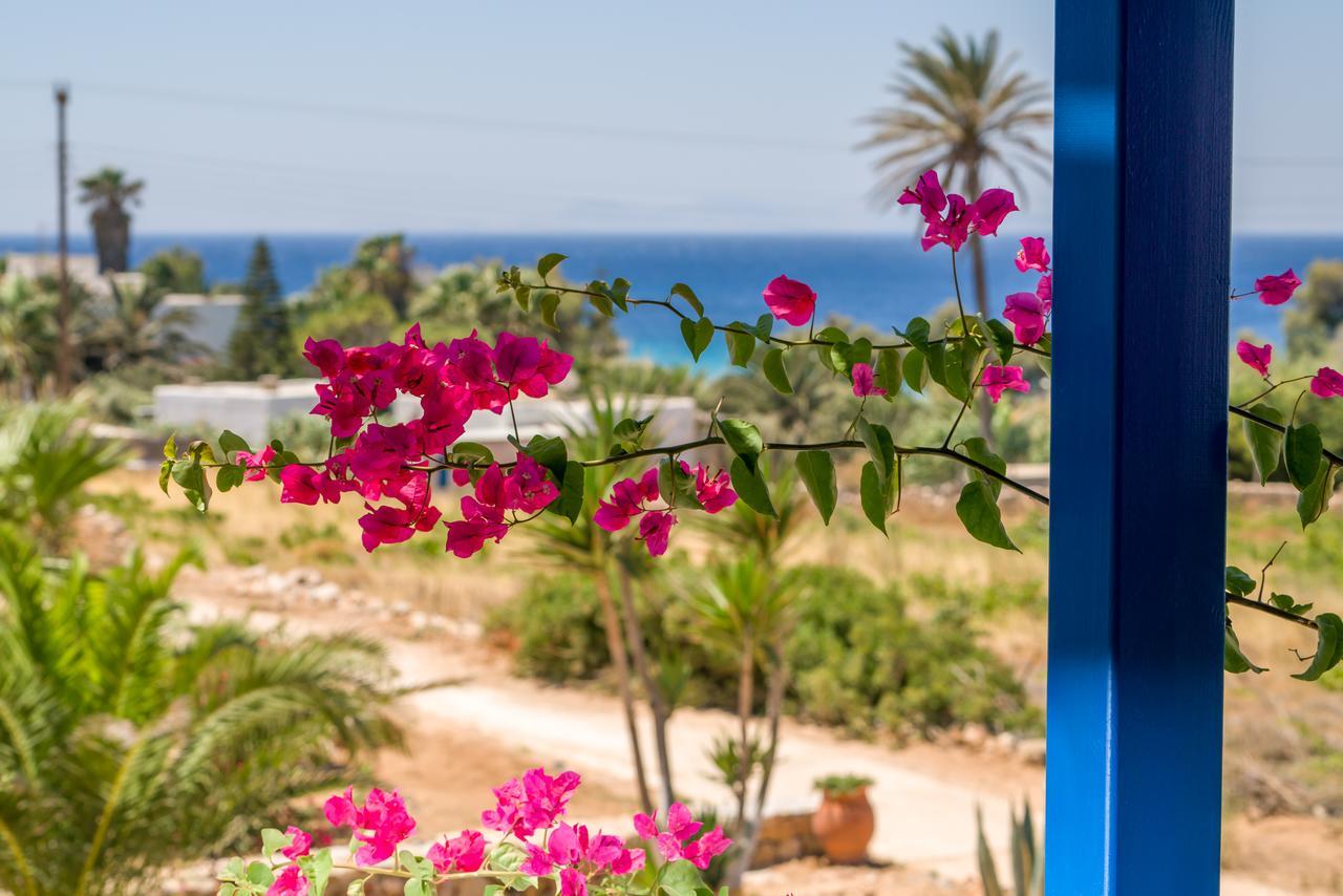 Firoa Studios Donoussa Dış mekan fotoğraf