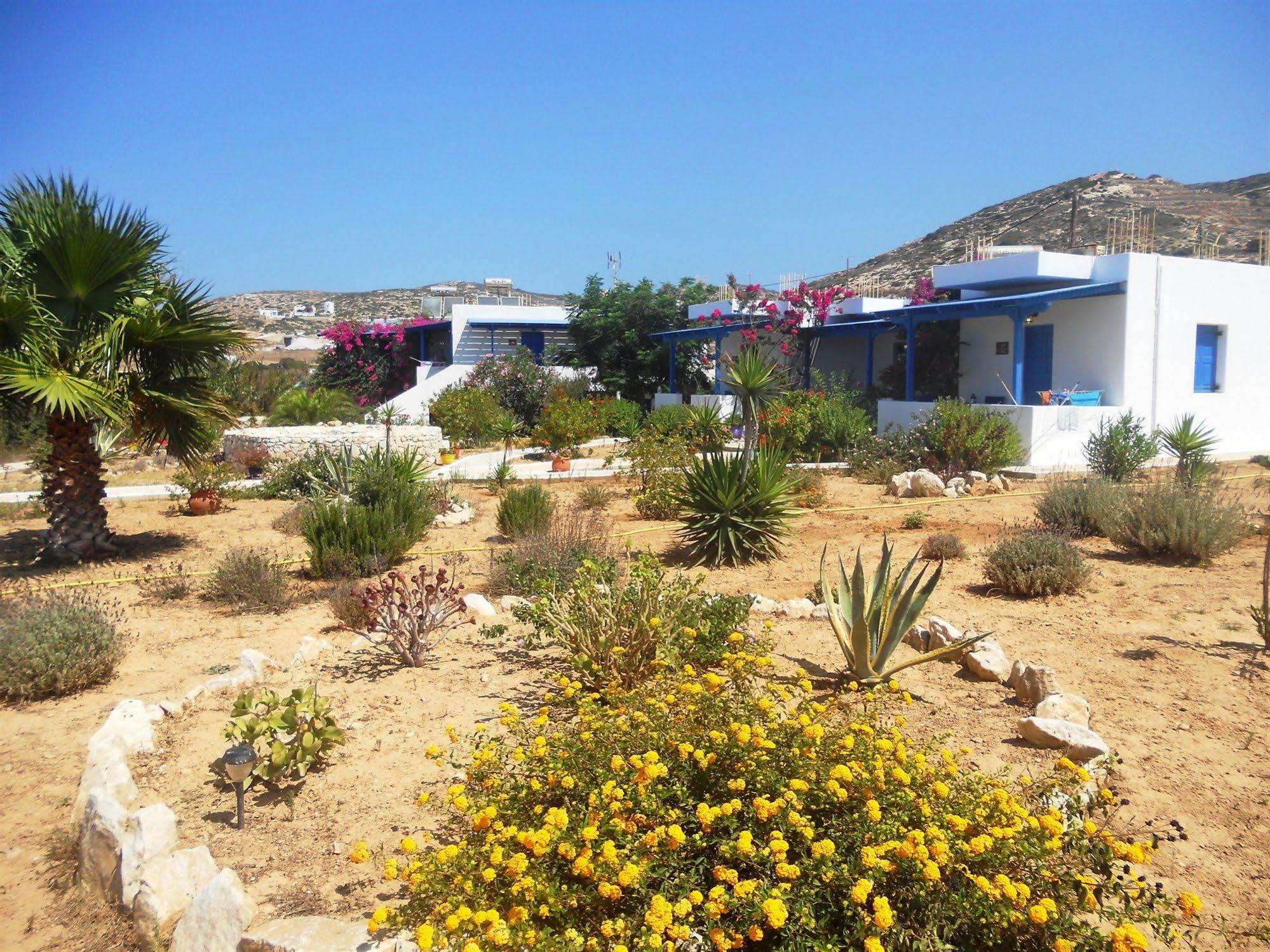 Firoa Studios Donoussa Dış mekan fotoğraf