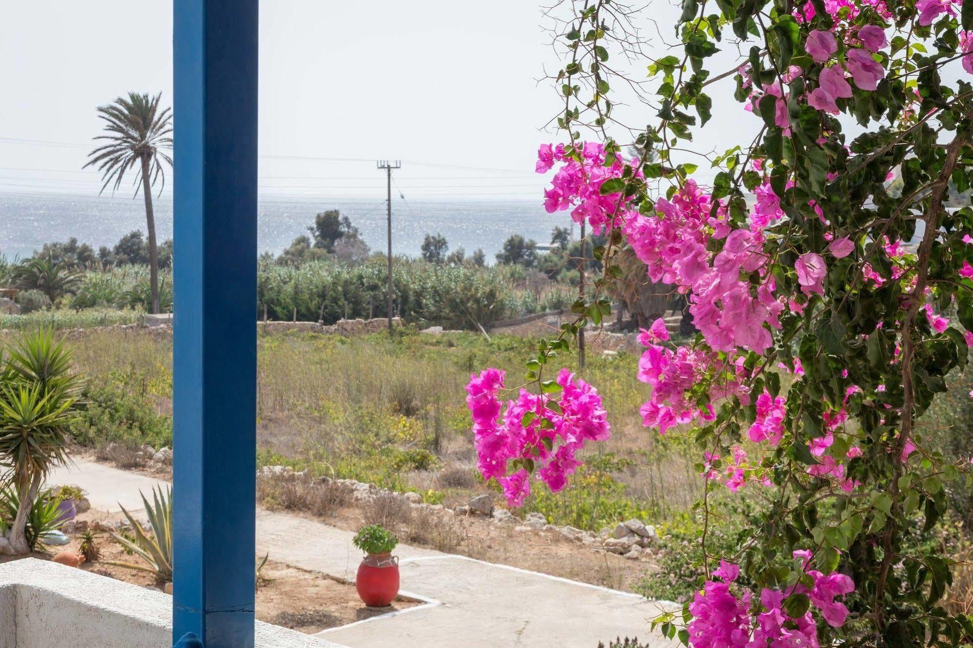 Firoa Studios Donoussa Dış mekan fotoğraf
